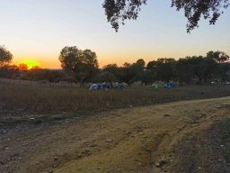 2023-09-29 SALAMANDRA II